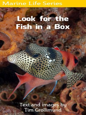 cover image of Look for the Fish in a Box